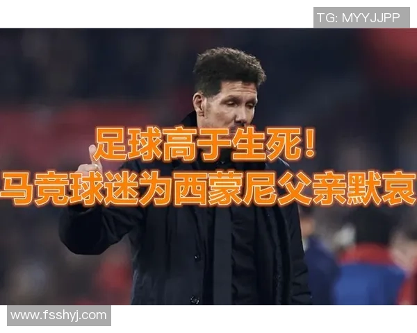 美国足球明星突然逝世震惊球迷与体育界的悲痛消息